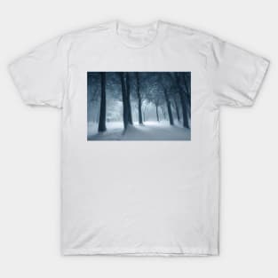 Winter Wonderland T-Shirt